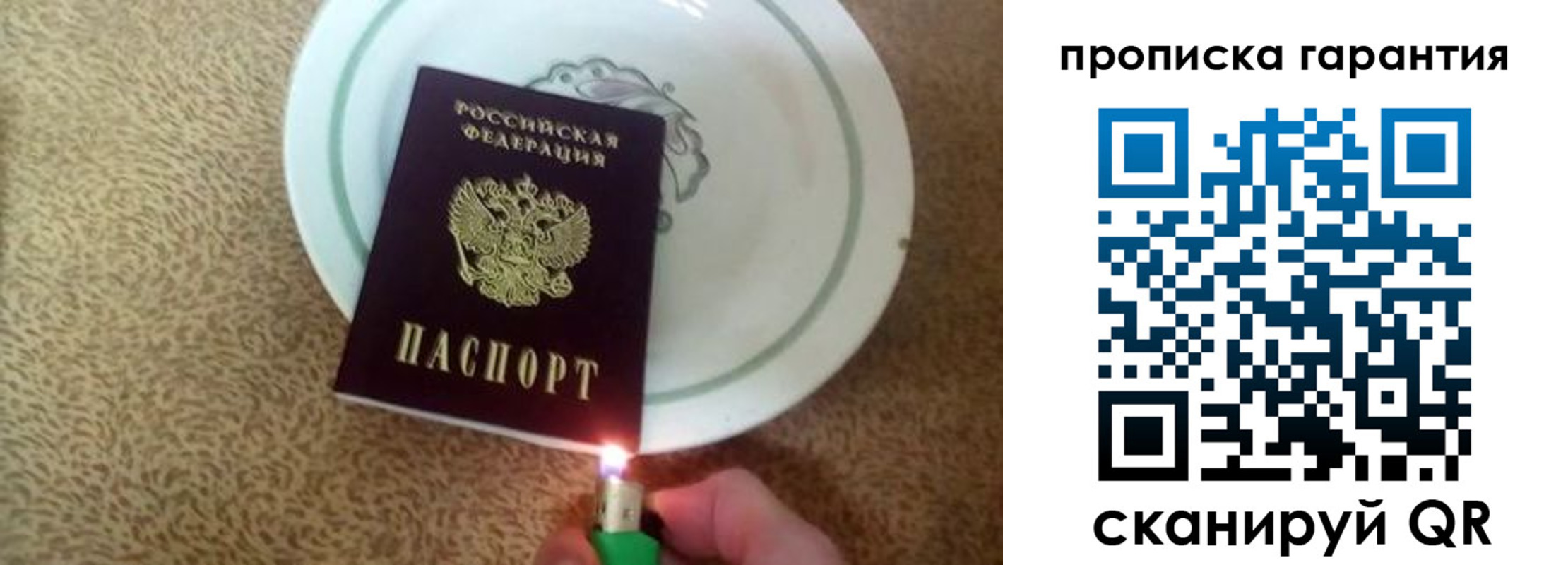 прописка гарантия в Тимашёвске